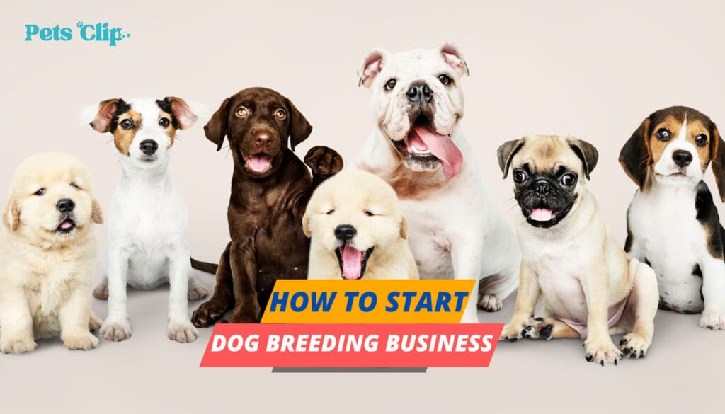 How to Start a Dog Breeding Business